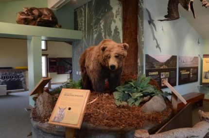 An exhibit at the Rancho del Oso Nature and History Center